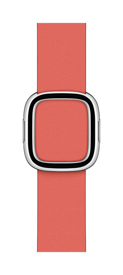 Apple Watch Correa con hebilla moderna, 40mm, Talla S, Pomelo rosa
