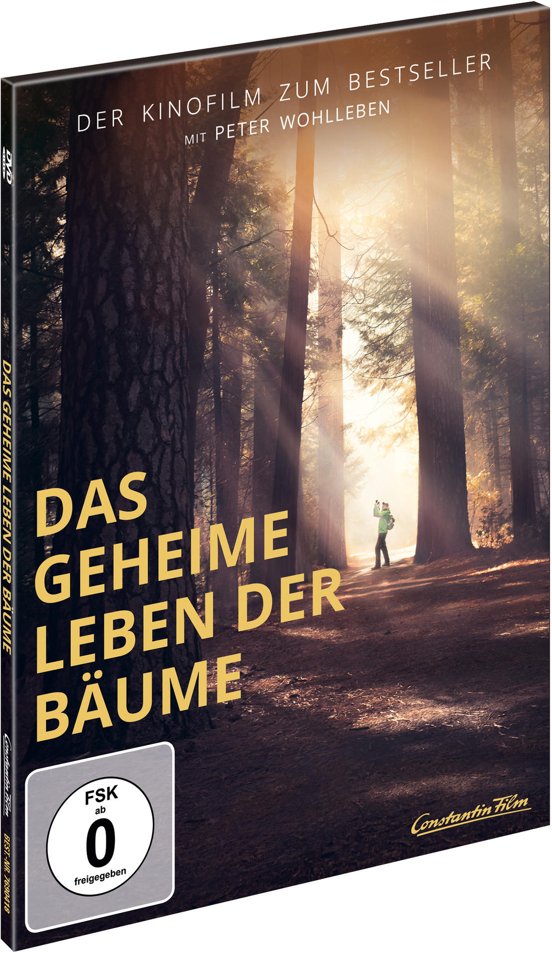 Filmposter mit einer Waldszene und einer Person.