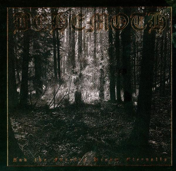 Albumhoes. Donkere bosscène. Titel: And the Shadow of the Sun Eternally.