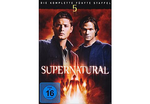 Supernatural - Staffel 5 [DVD]