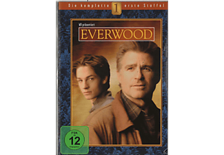 Everwood - 1. Staffel [DVD]