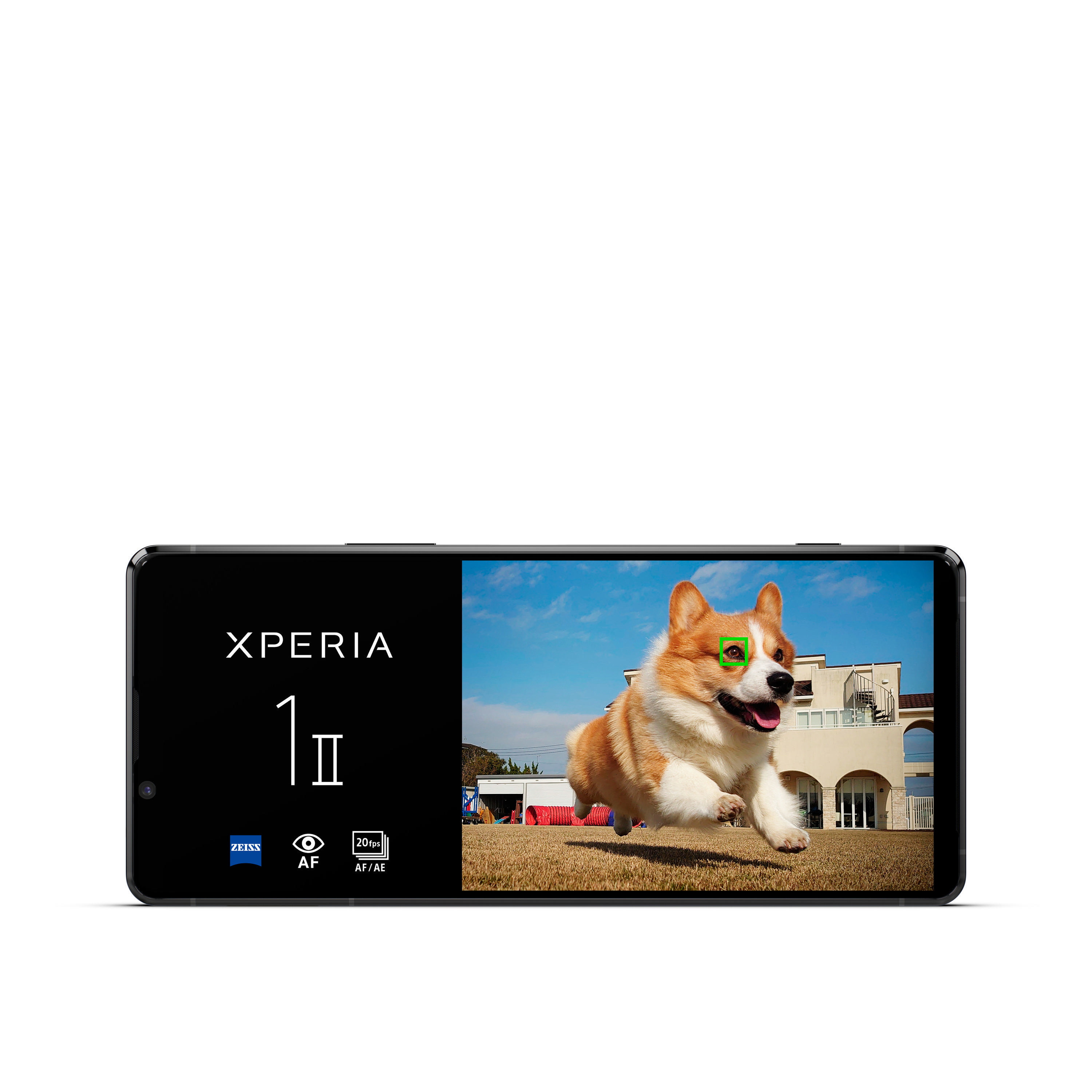 Smartphone zeigt einen laufenden Corgi. Der Hintergrund zeigt einen blauen Himmel und ein Haus.