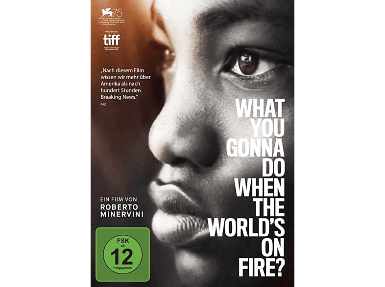 What you gonna do when the world's on fire? DVD (FSK: 12)