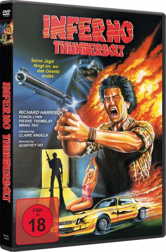Filmcover: Mann mit Waffe, Auto und brennender Hintergrund.