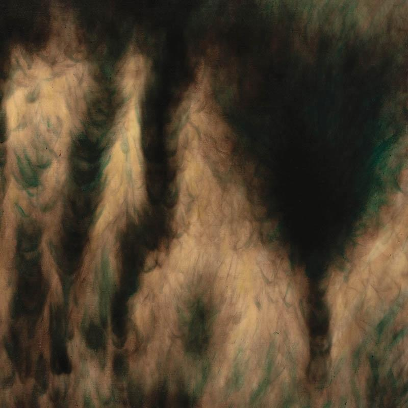 William Basinski - LAMENTATIONS  - (CD)