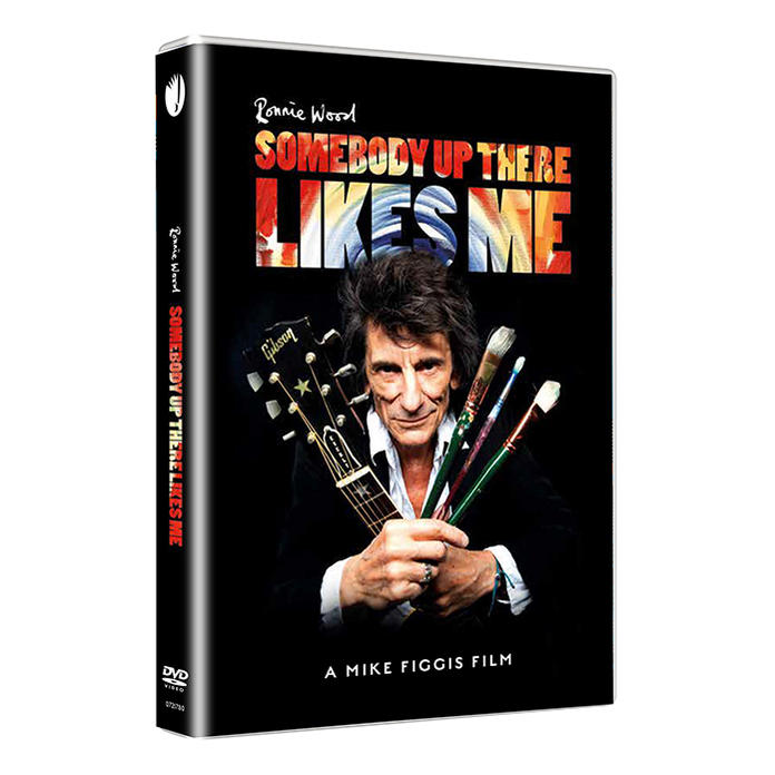 Dvd-hoes met een man die een gitaar en penselen vasthoudt.