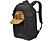 CASE LOGIC Camera rugzak Viso Slim Zwart (CVBP105 BLACK)