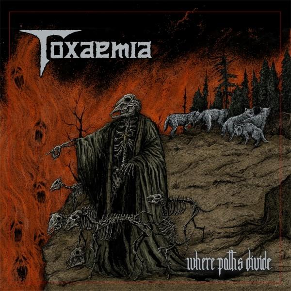 Toxaemia - Where Paths Divide (Vinyl) 