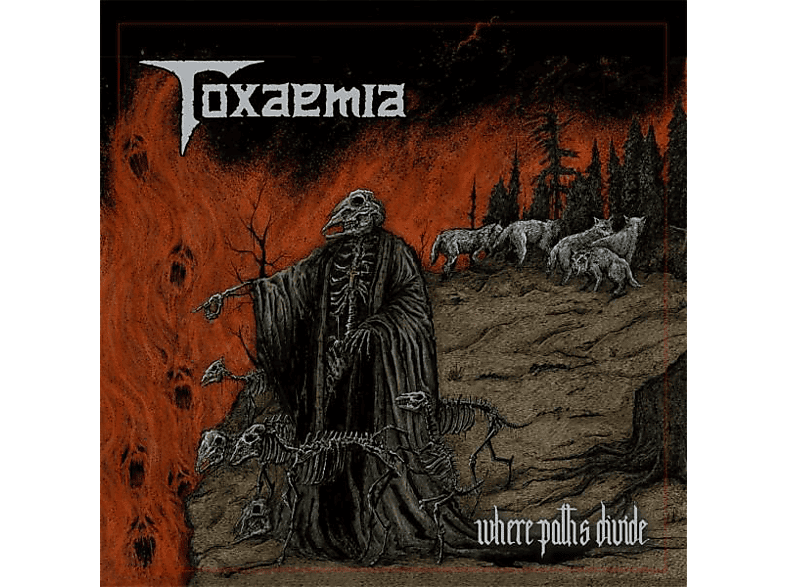 Toxaemia - Where Paths Divide  - (Vinyl)
