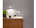 GOOGLE Nest Audio - Chalk