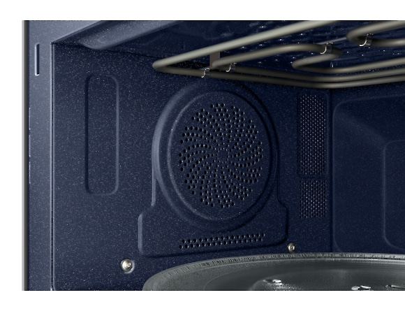 Inside a microwave oven, showing a speaker and heating element.