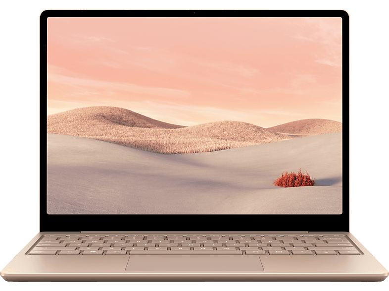 MICROSOFT Surface Laptop Go, Notebook, mit 12,45 Zoll Display Touchscreen, Intel® Core™ i5,i5