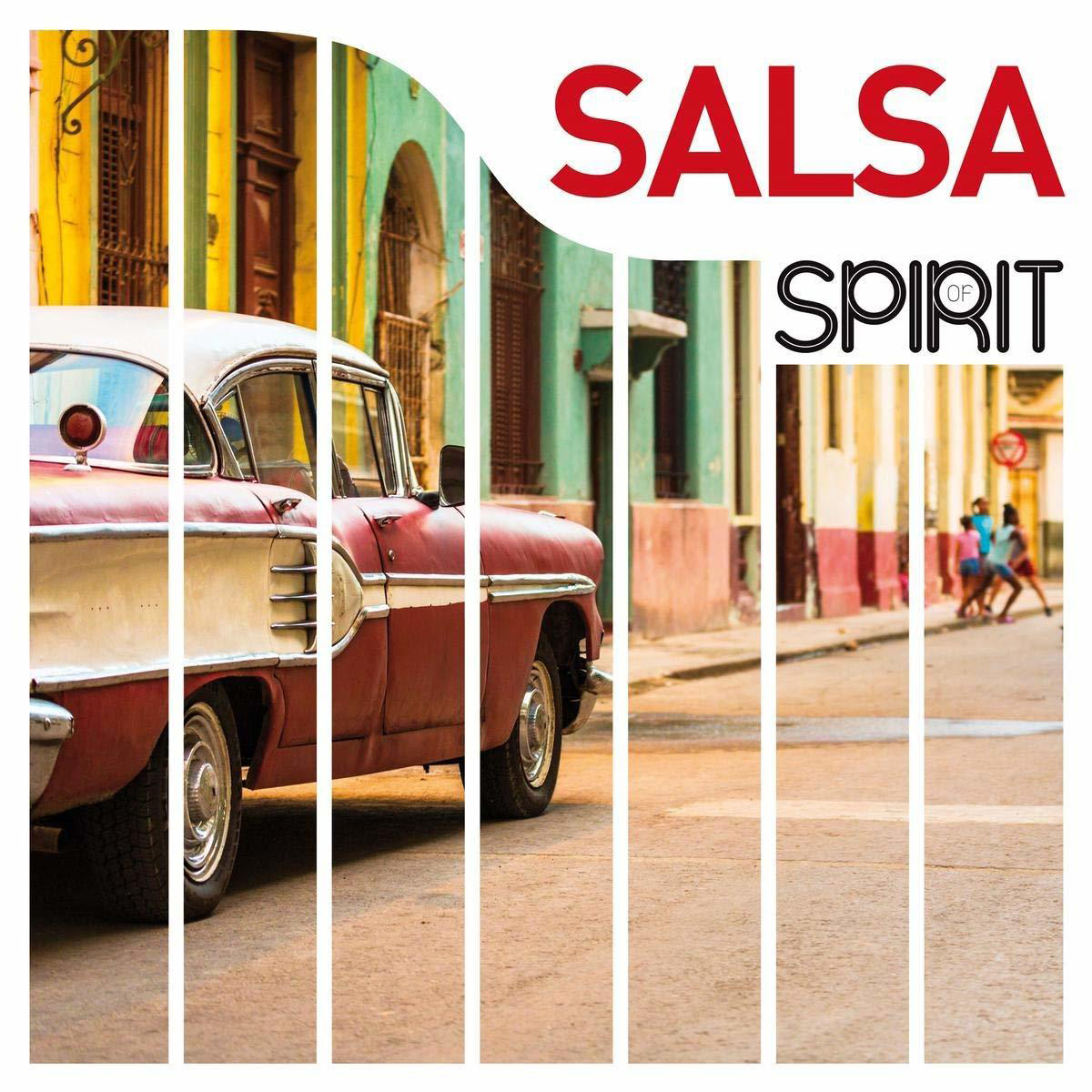 VARIOUS - Spirit Of Salsa  - (Vinyl)