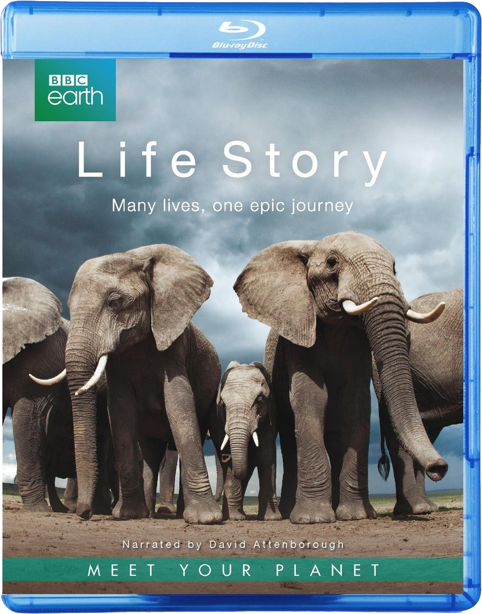BBC Earth: Life Sory - Blu-ray