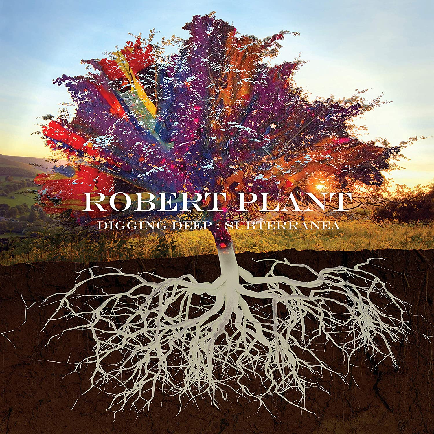 Robert Plant - Digging Deep: Subterranea (Limited Edition) (CD)