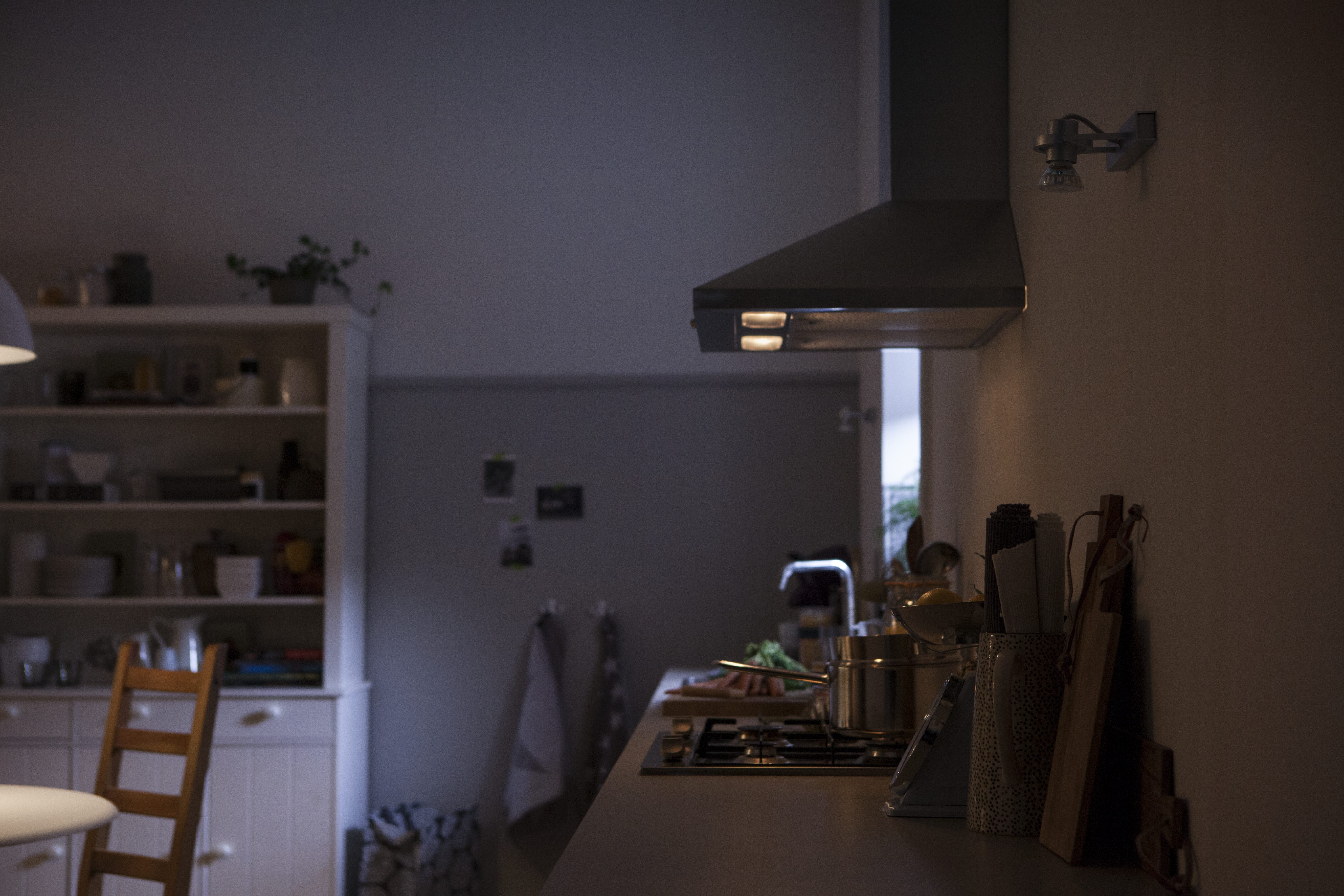 Kücheninterieur, Herd, Dunstabzugshaube. Weiße Schränke, Fenster und Pflanze im Hintergrund.