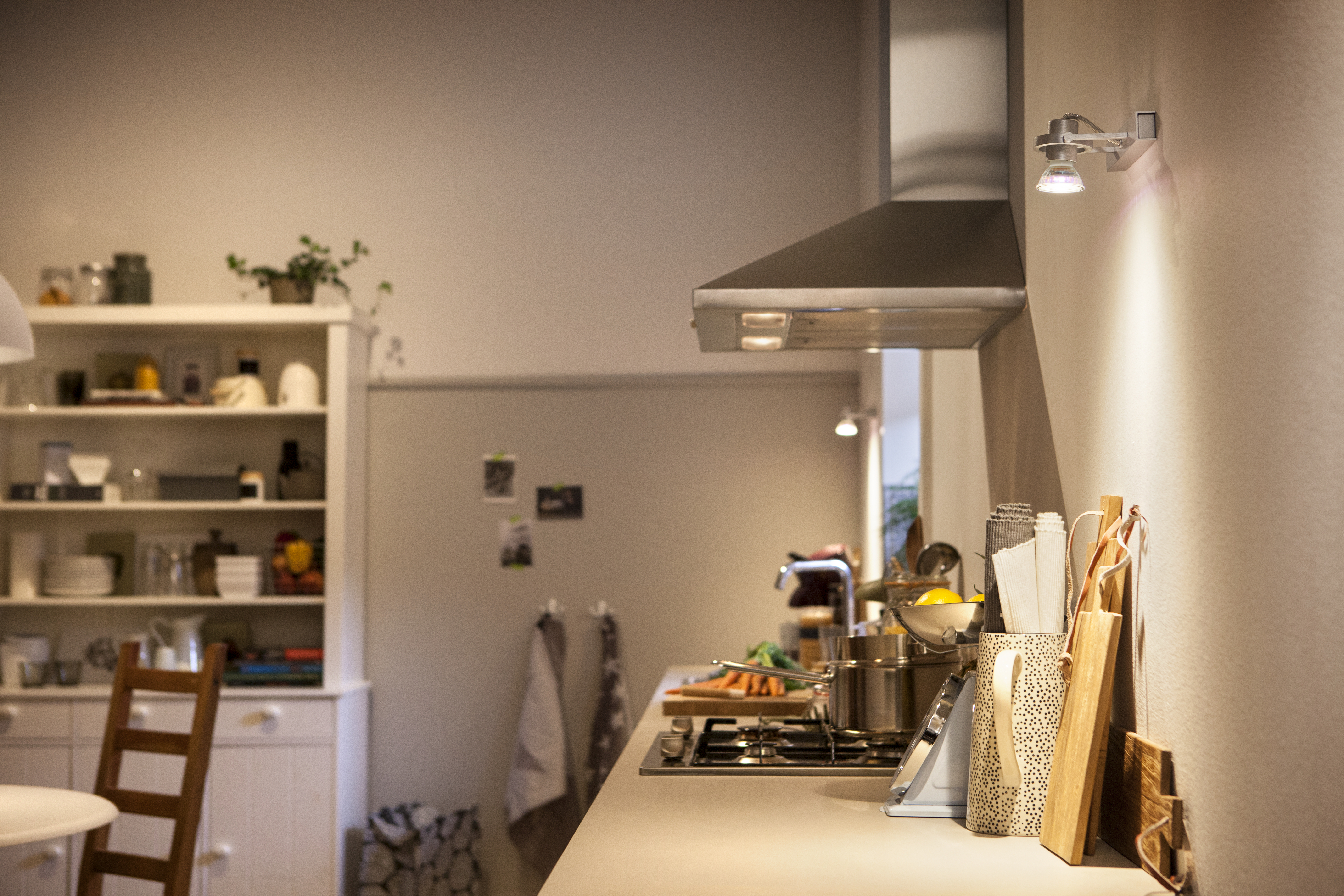 Kücheninnenraum. Eine Theke mit Herd. Ein weißer Schrank mit Gegenständen. Pflanzen und eine Leuchte.