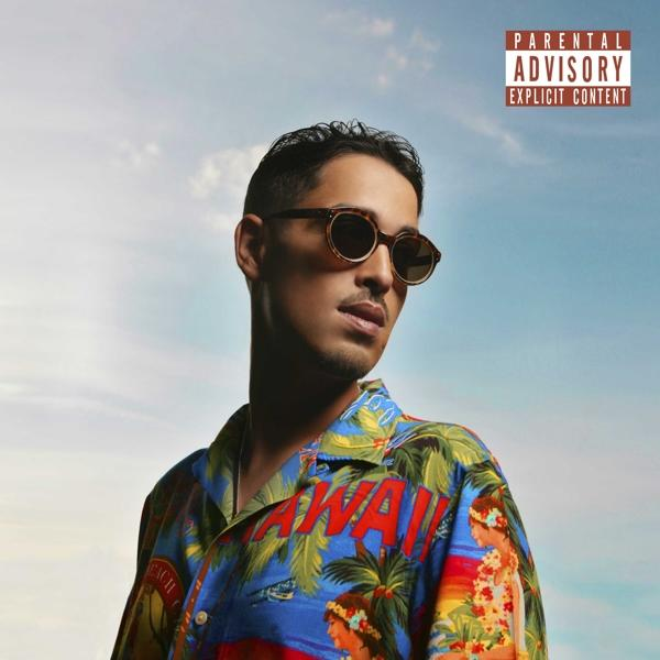 Albumhoes met man met zonnebril, Hawaii-shirt, blauwe hemel achtergrond.