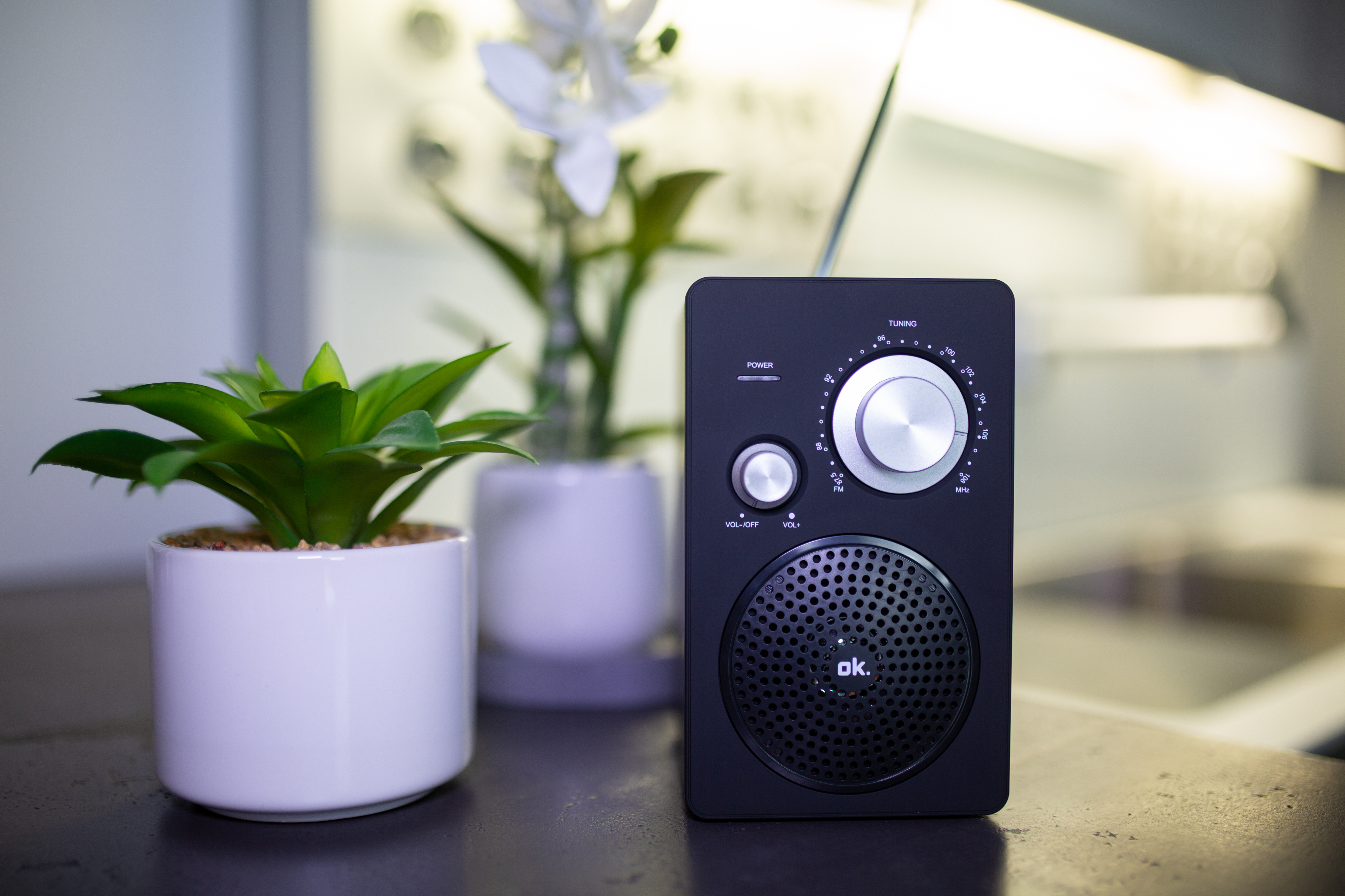 Ein schwarzes Radio mit einer kleinen Pflanze und einem weißen Blumentopf im Hintergrund. Das Radio steht auf einem Tisch.