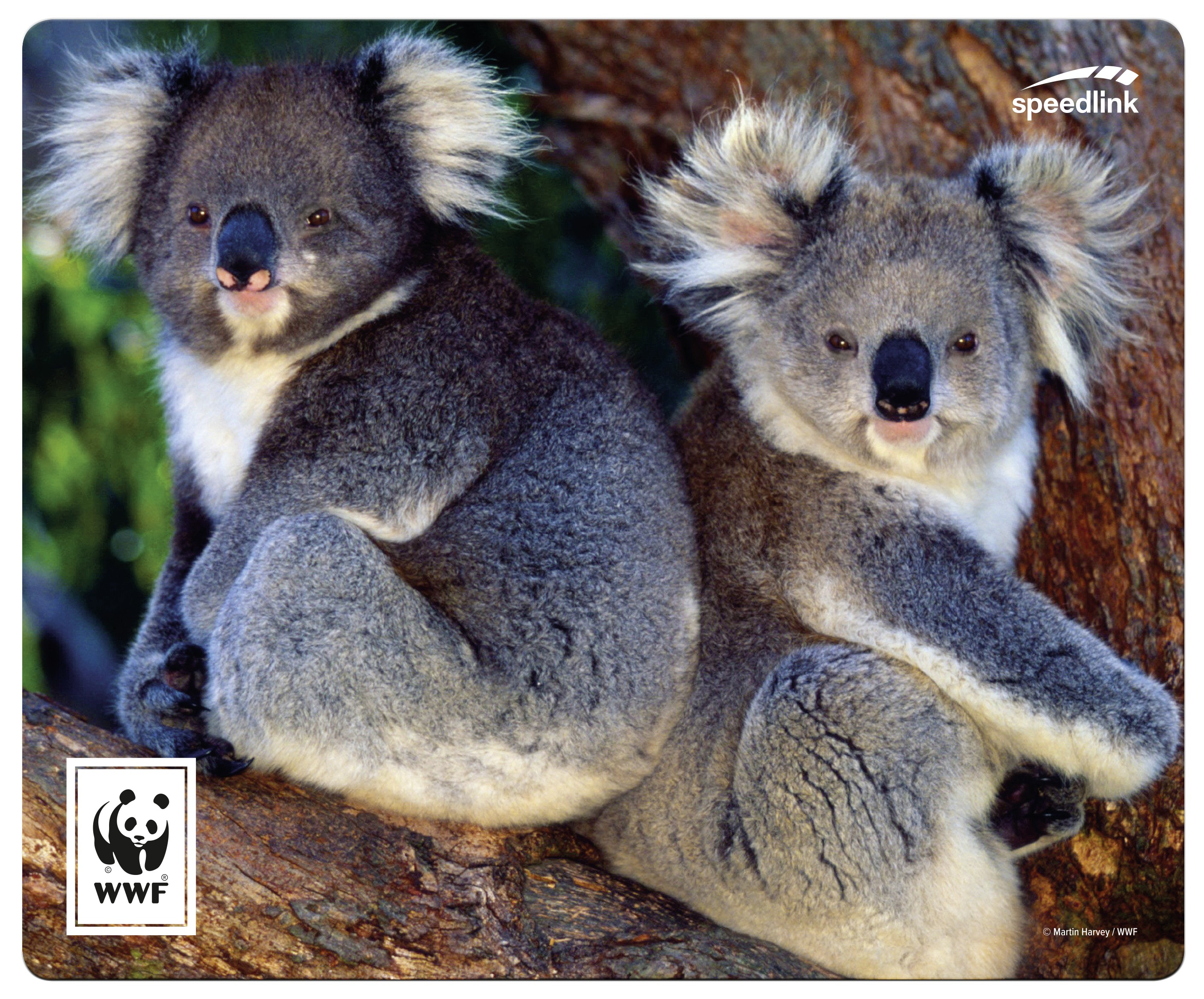 TERRA Mehrfarbig Koala, WWF SPEEDLINK