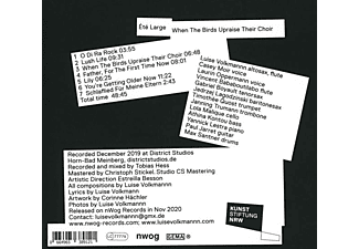 Luise/ete Large Volkmann - When The Birds Upraise Their Choir  - (CD)