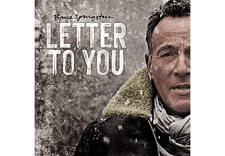 Bruce Springsteen - Letter To You (Gray Vinyl) (Vinyl LP (nagylemez))