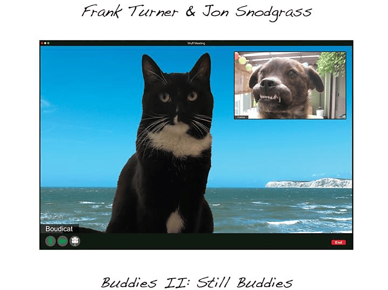 & STILL - BUDDIES II: Turner,Frank (Vinyl) BUDDIES - Snodgrass,Jon