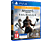 Assassin's Creed Valhalla - Gold Edition (PlayStation 4)