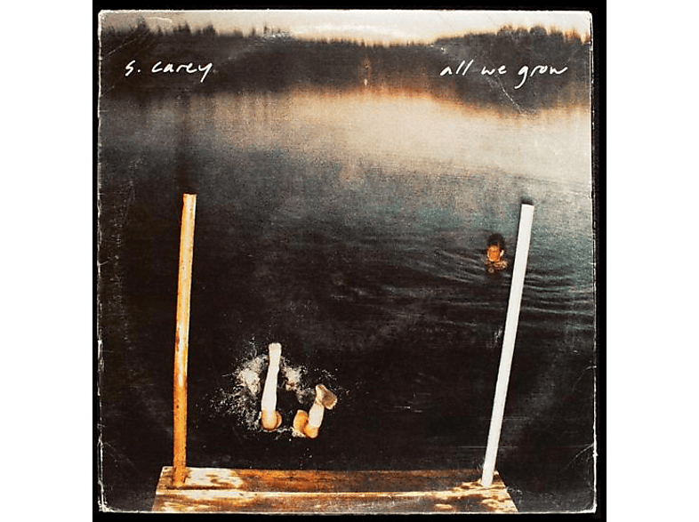 (Ltd.Ten We Edition) (Vinyl) - All Year Anniversary S. Grow - Carey