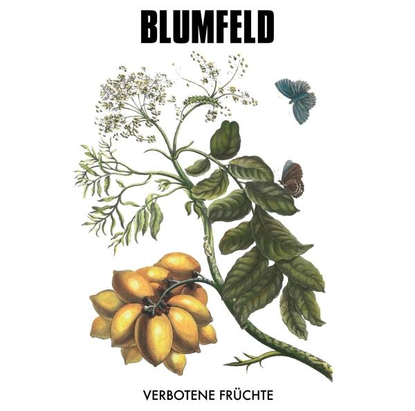 Blumfeld - Verbotene Früchte (Vinyl) Vinyl Edition) (New 