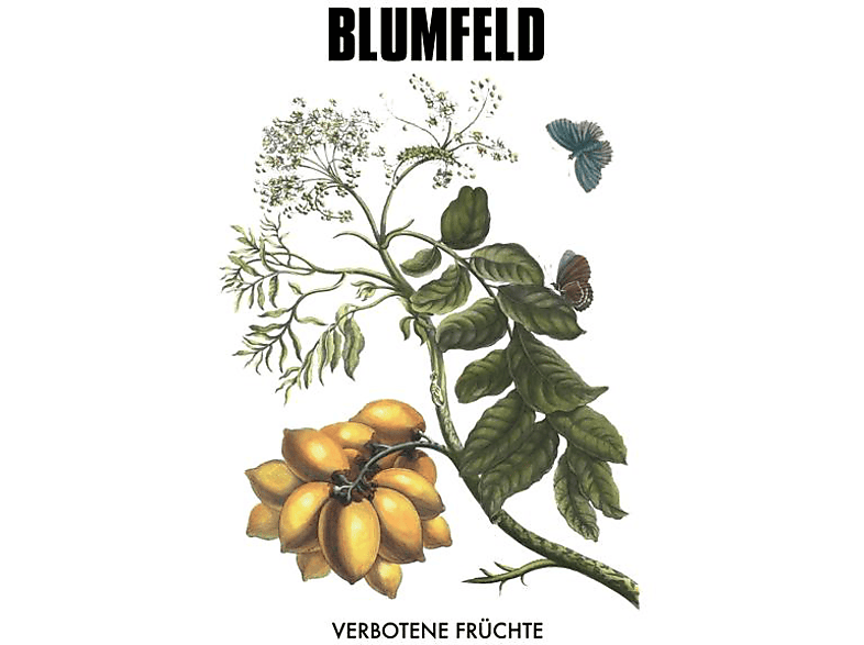 Blumfeld - Verbotene Früchte Edition) (New Vinyl (Vinyl) 