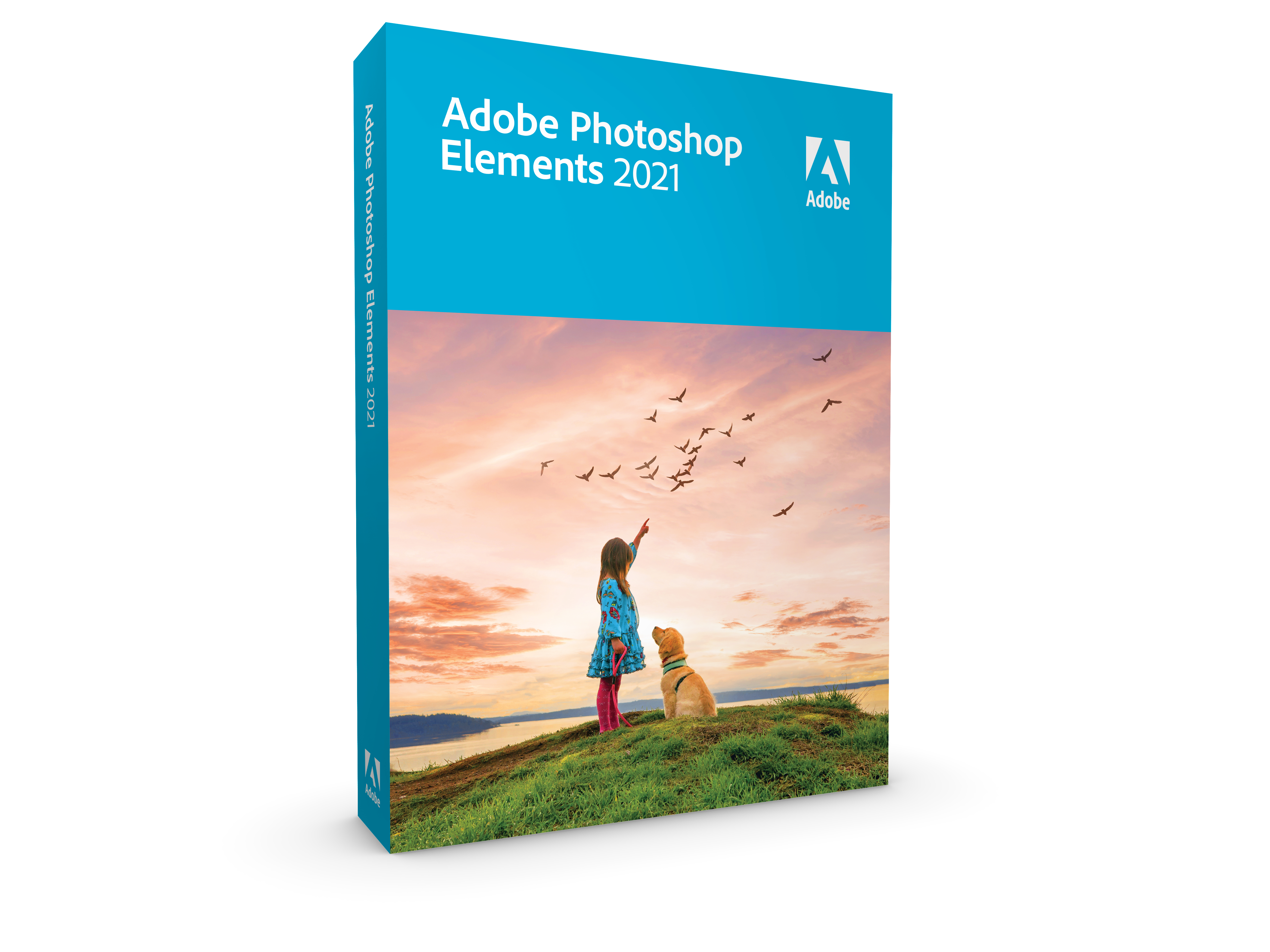 Photoshop Elements 2021 (Code in der Box) - [PC]