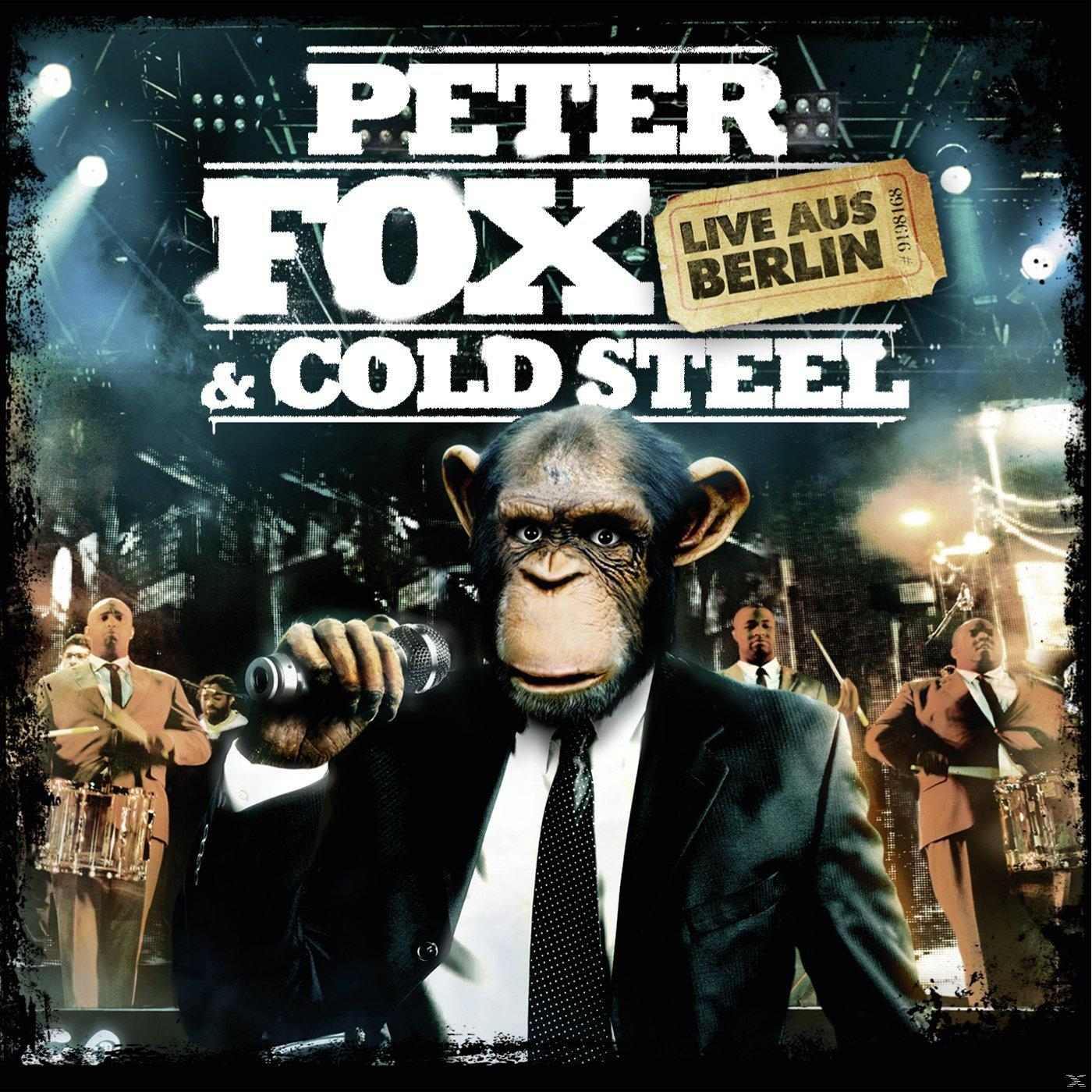 Ein Schimpanse im Anzug hält ein Mikrofon vor einer Band und dem Schriftzug Peter Fox.