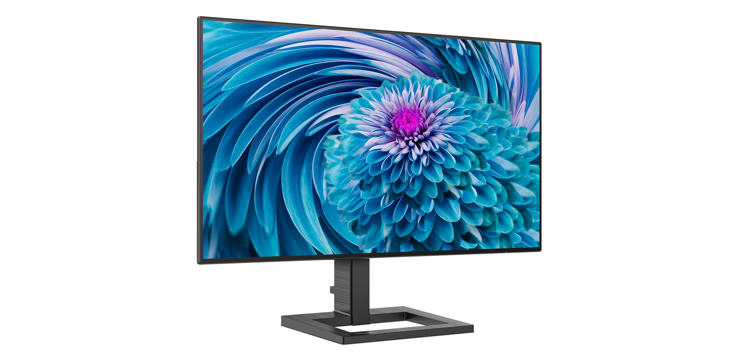 Ein Philips-Computermonitor, der eine blaue Blume mit weißem Hintergrund anzeigt.