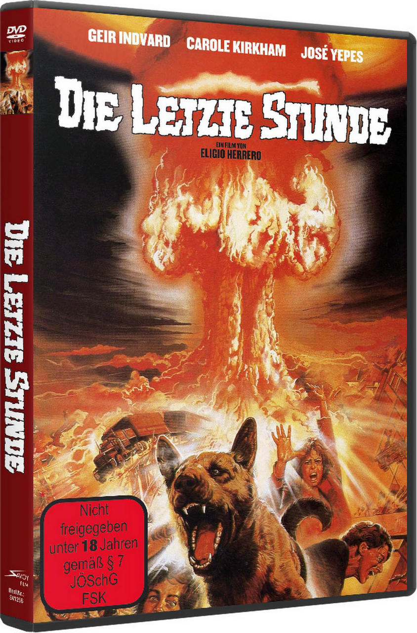 DVD-Cover mit apokalyptischer Szene, Hund und Menschen. Titel: Die Letzte Stunde.