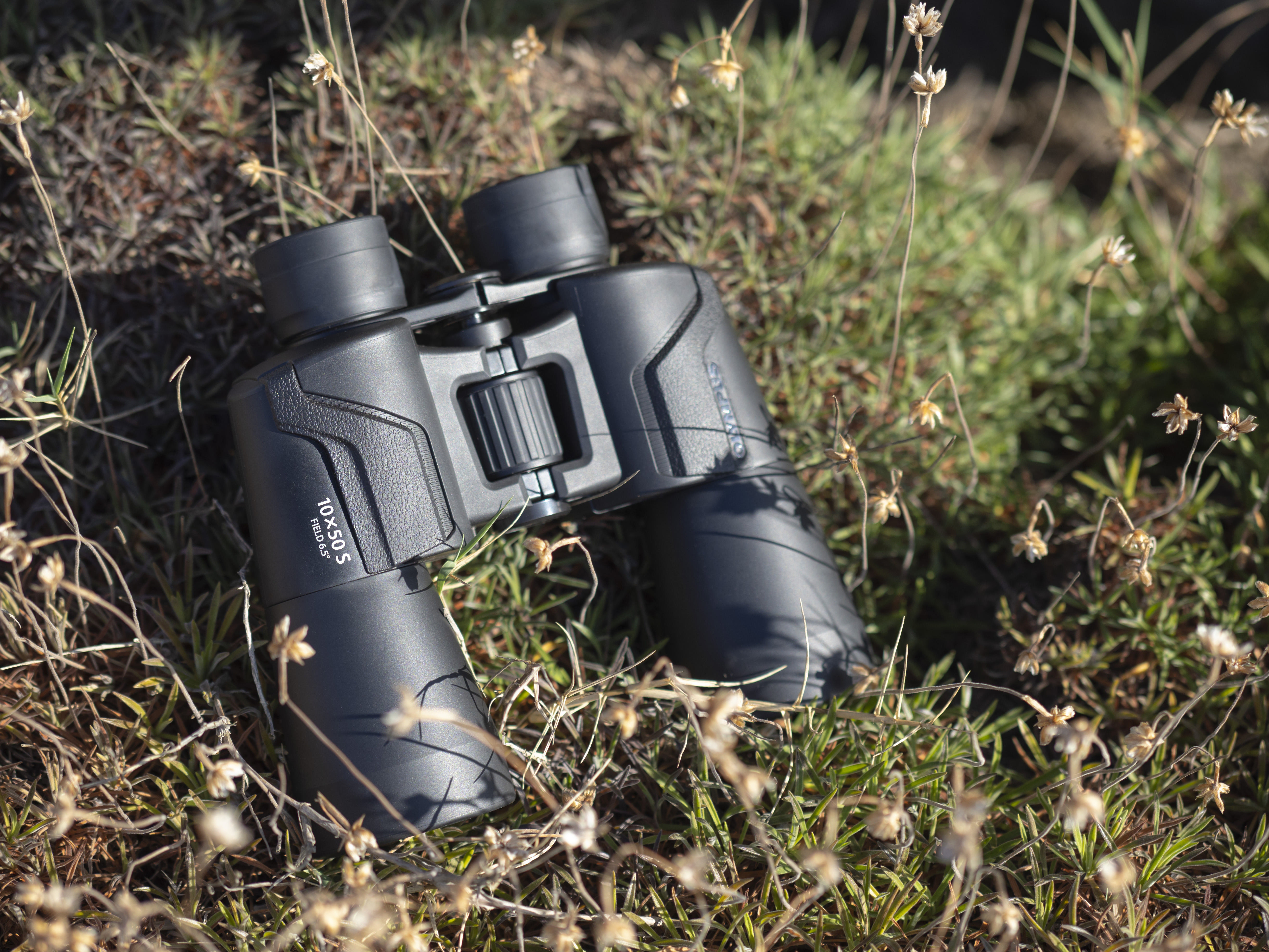Schwarzes Fernglas liegt im Gras und kleinen Pflanzen. Fokusrad und Objektiv sind sichtbar.