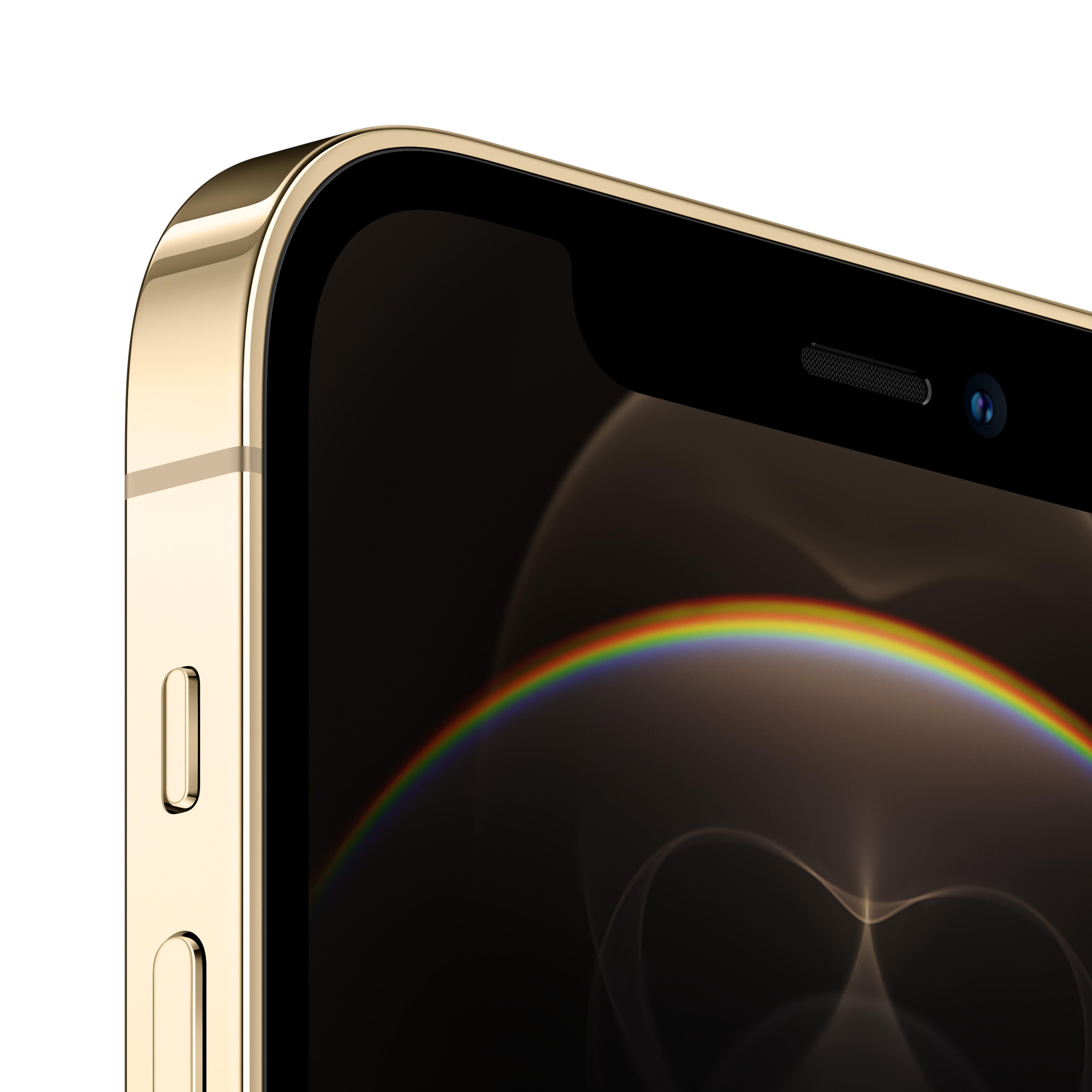 APPLE iPhone 12 Pro 5G Gold GB SIM 256 Dual