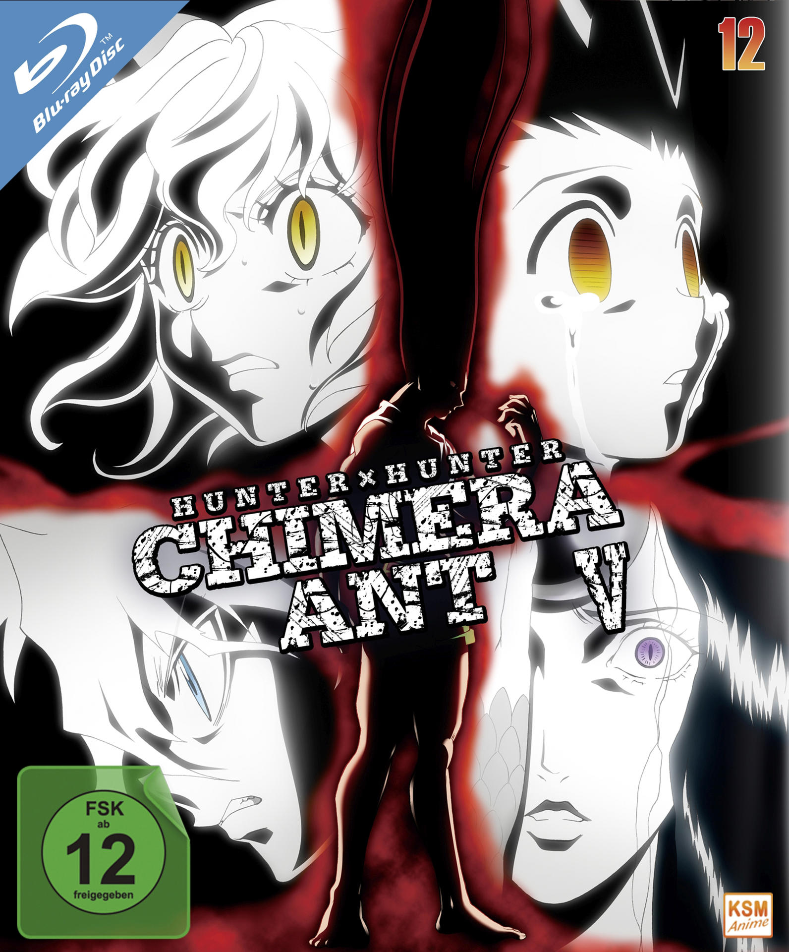 HUNTERxHUNTER | Volume 12 Blu-ray | MediaMarkt
