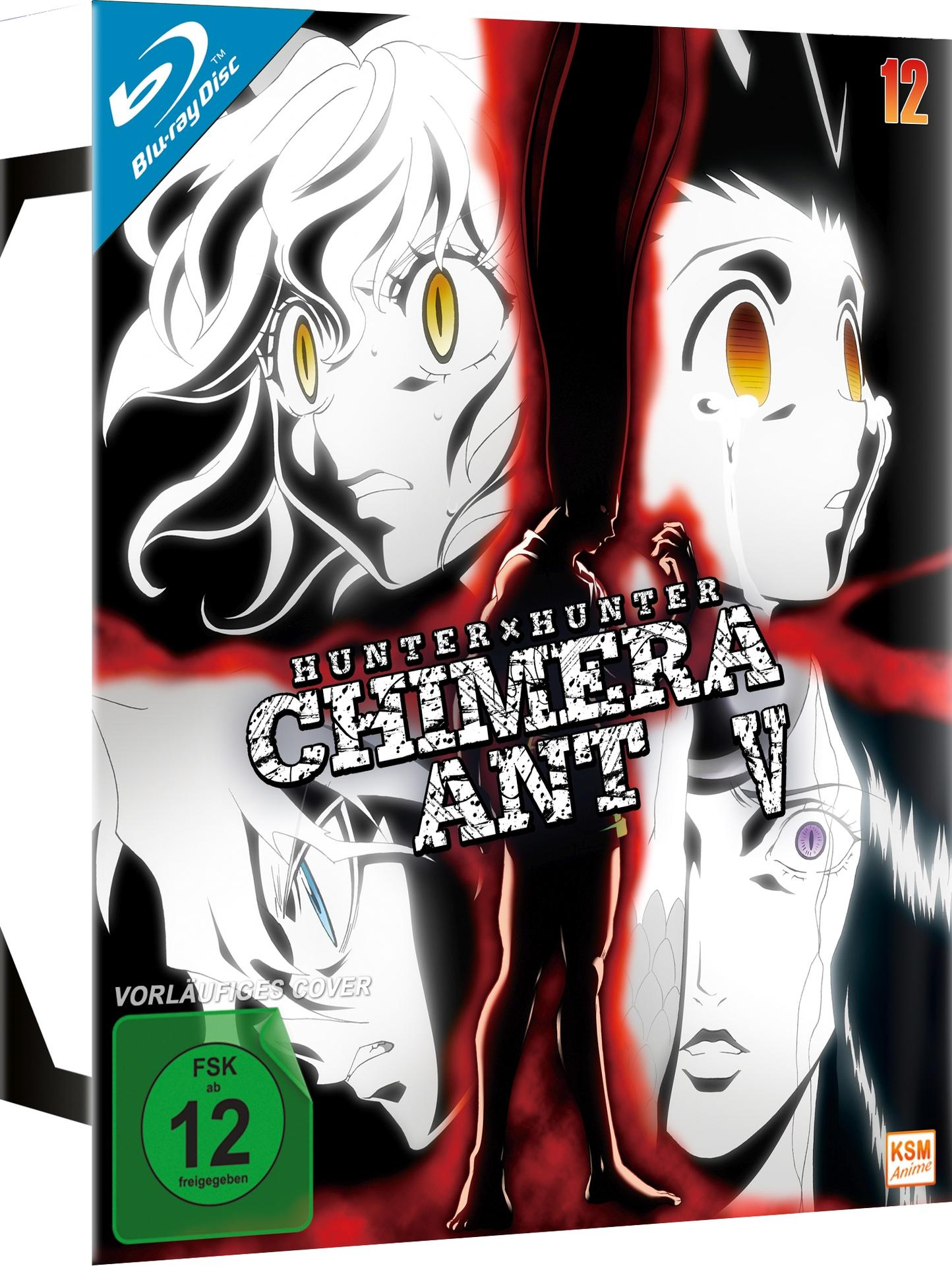 HUNTERxHUNTER | Volume 12 Blu-ray | MediaMarkt