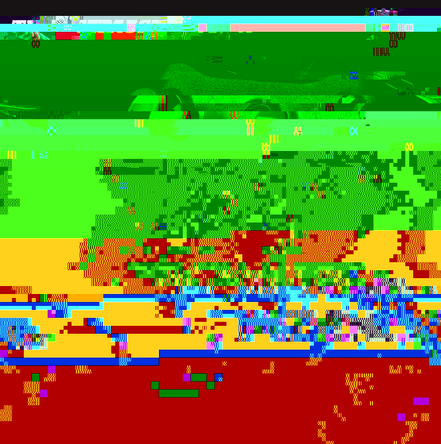 Das Bild ist beschädigt. Enthält farbige, verzerrte Pixel.