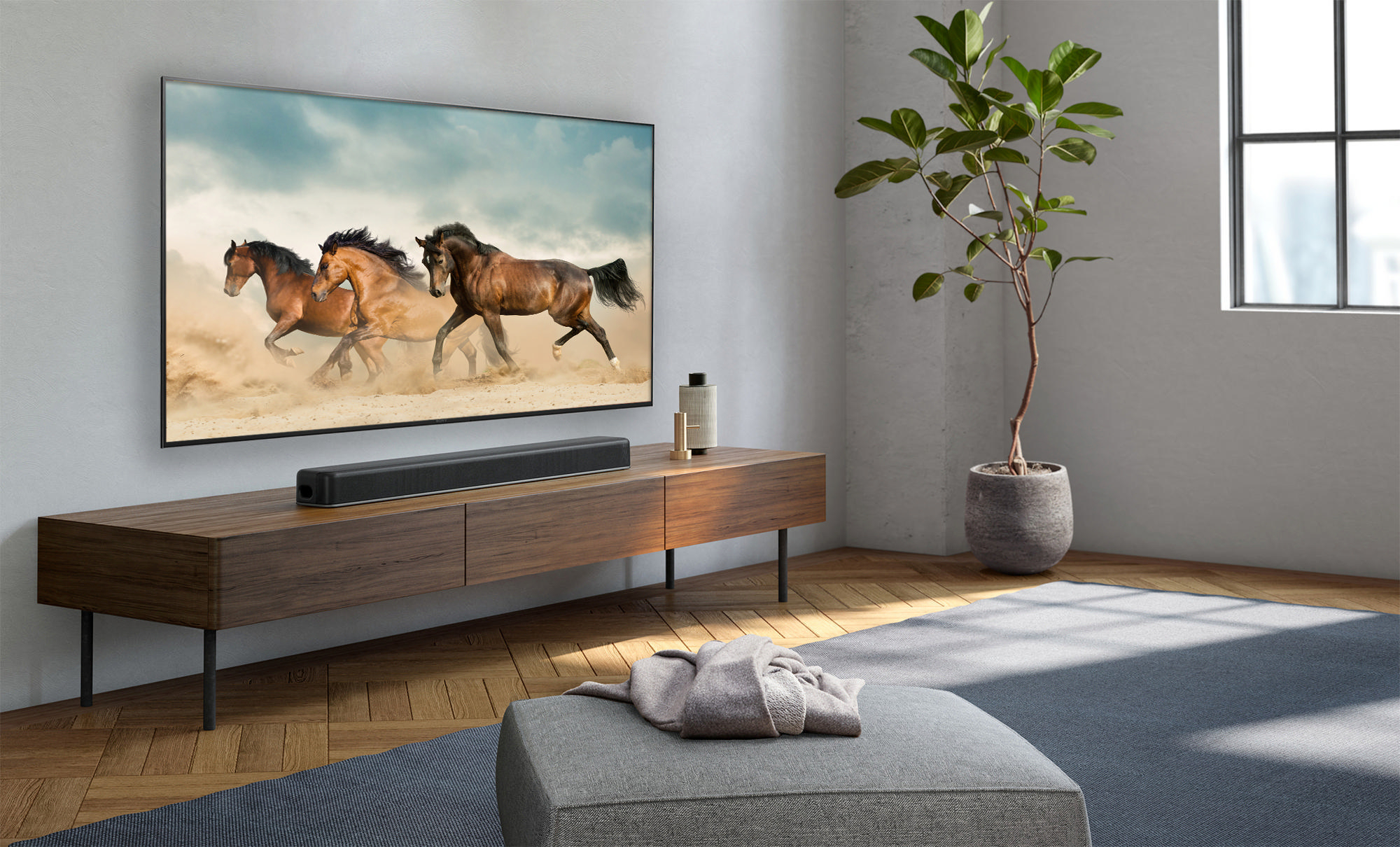 Ein Wohnzimmer mit einem Fernseher, auf dem Pferde laufen. Unter dem Fernseher befindet sich eine Soundbar und rechts eine Topfpflanze.