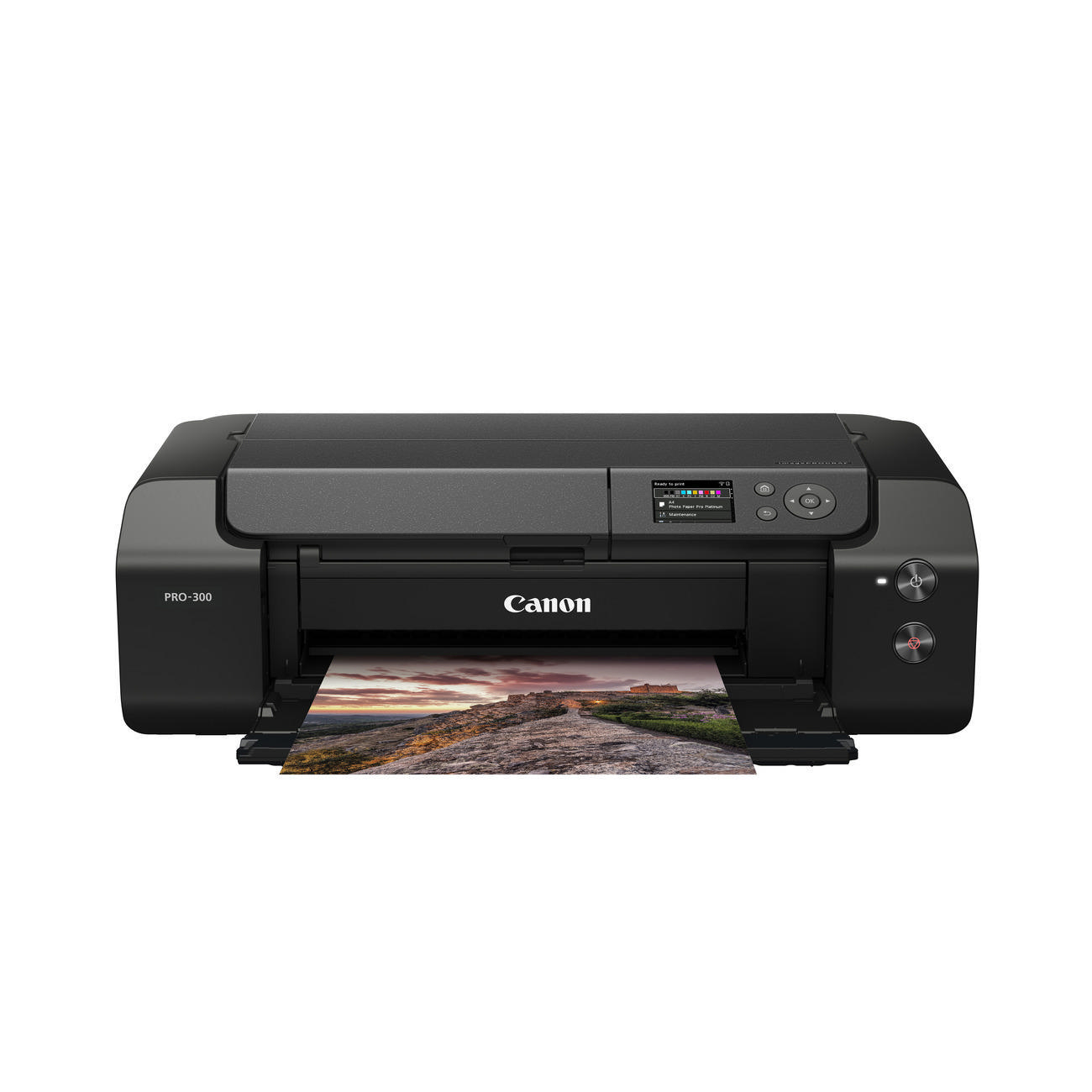 Canon PRO-300 Drucker, der ein gedrucktes Foto anzeigt. Weißer Hintergrund.