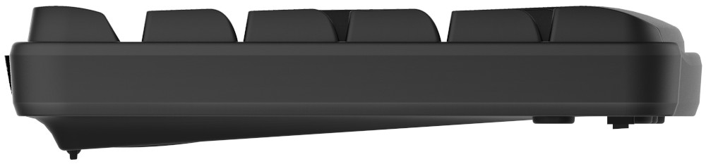 RAPOO Clavier sans fil + Souris sans fil X1800S AZERTY BE (19459)