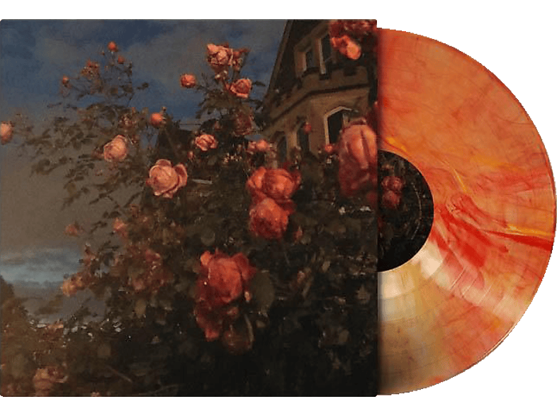 (Blood + (LP John Bence - Download) - Love Orange Vinyl)