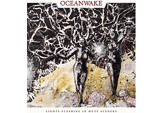 Oceanwake - Lights Flashing In Mute Scenery (Vinyl)  - (Vinyl)