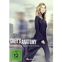Kleverig De Kamer kraai Grey's Anatomy | Die komplette sechzehnte Staffel DVD online kaufen |  MediaMarkt