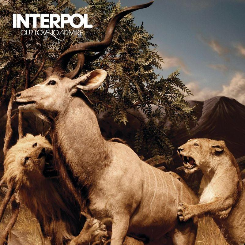 Albumcover mit einem Kudu, Löwen und üppiger Vegetation. Der Himmel ist blau. Albumtitel 'Our Love to Admire'.