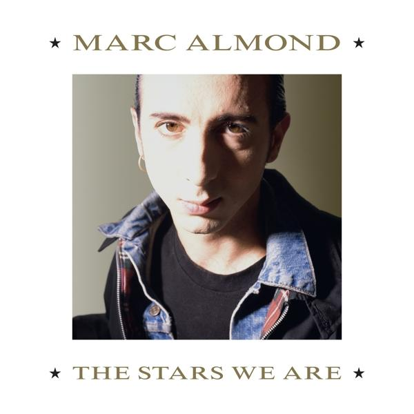 WE Marc DVD - STARS (CD ARE + - Almond Video)