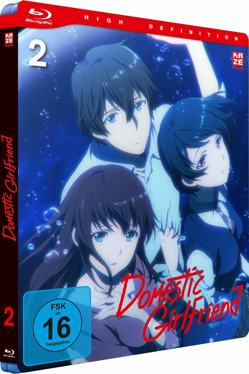Anime-Blu-ray-Cover mit drei Charakteren und dem Titel 'Domestic Girlfriend'.