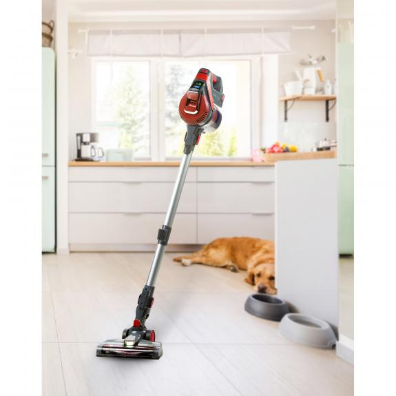 Un aspirateur sans fil debout dans une cuisine, un chien est couché par terre.